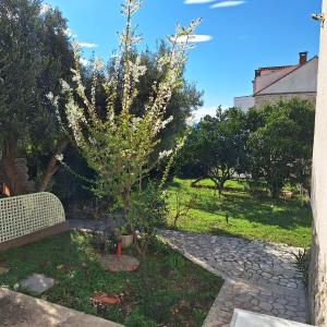 Apartment Lamante