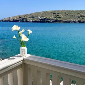 Paraporti 2-BDR Retreat in Andros Town by Explore Andros