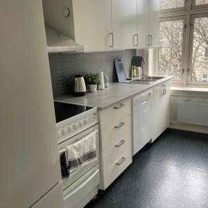 Big and Nice apartment in Oslo City center