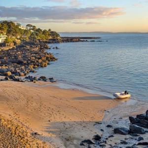 Takapuna Beachfront w Stunning Views