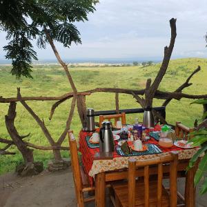 Pumba Safari Cottages