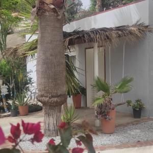 Lovely Guesthouse in Benajarafe