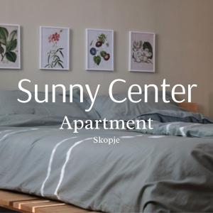 Sunny Center Apartment