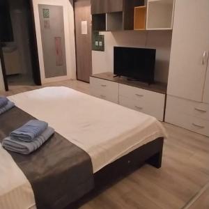 Central Flat 109