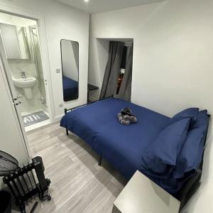 Central London Zone 1 Room