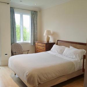 Beautiful apartment London Free Underground Parking