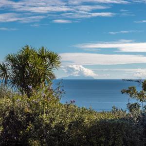 Belle View - Stay Waiheke