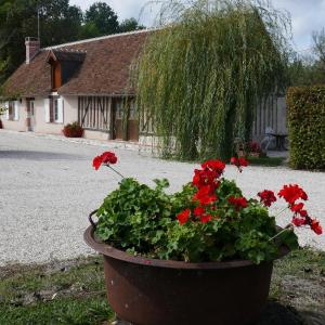 Gîte chaleureux près des Châteaux de la Loire, avec terrasse, équipements de loisirs et pêche - FR-1-491-357