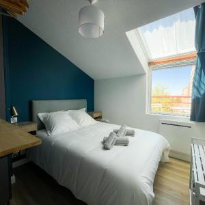 Perle Bleu - Ravissant Logement Toulousain