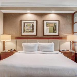 MGM Signature - Shared Pool Jacuzzi Studio Strip View