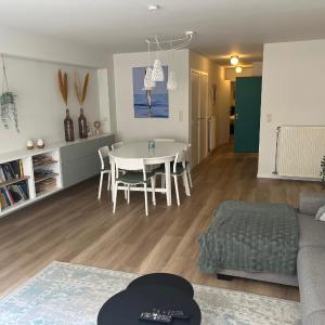 Ruim 2-slaapkamerappartement op 50 m van het strand in Knokke-Heist