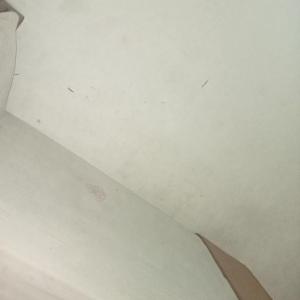 Balistaycasion