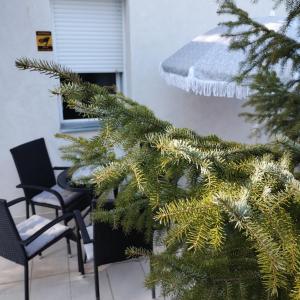 Apartman Šumski San