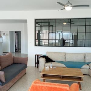 Socratus Spacious Apartments