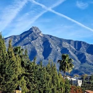 Cosy apartment in the heart of Nueva Andalucia