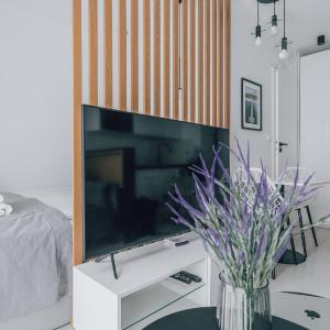Central II Apartment Gdańsk
