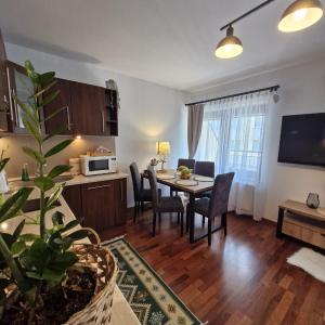 Apartament11 Brzozowa 5minut Krupówki, garaż