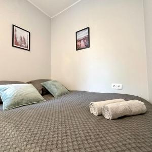 MMRent Lake Room