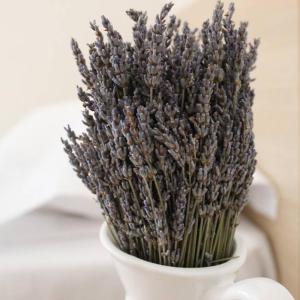 Lavandula Ring