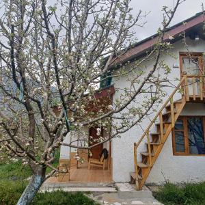 Nomads abode