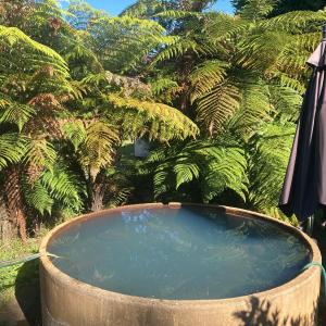 Whare&geothermal pool by lake Taupo