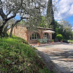 Gli sterpi