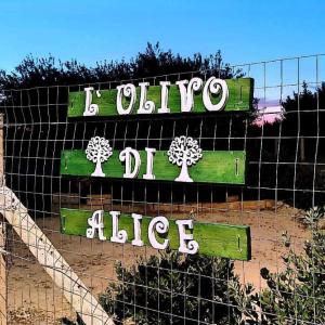 L'ulivo di Alice