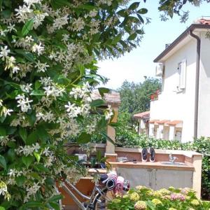Apartment in Porec - Istrien 47129