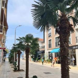 Apartment Riva