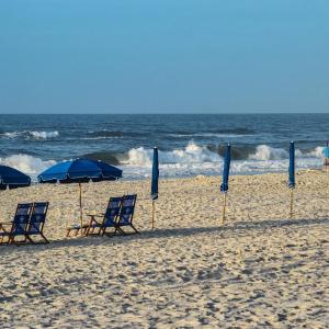 Beautiful 3 Bedroom BEACHFRONT Condo (F3) - Sleeps 10