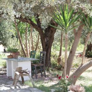 Xarites Skyros