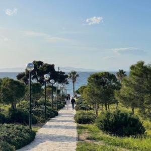 Kavouri Retreat, Only pines hide the sea