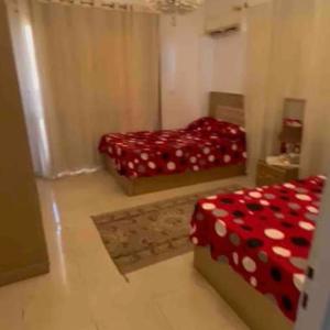 furnished apartment for rent at madinaty
