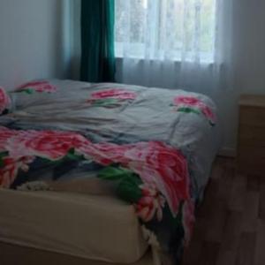 veggie single room in 2 bed flat, close to NEC