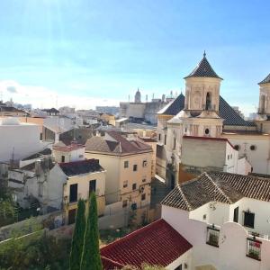The Black Rose Rooftop Malaga City Center