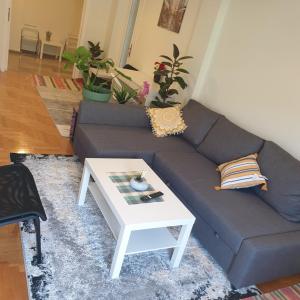 Lavender-Ryan spacious apartment for live and work in heart of Athens