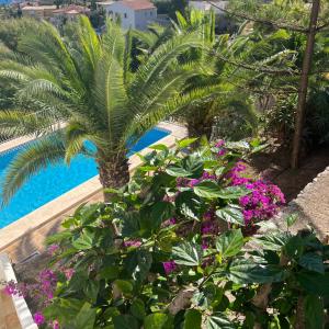 Amazing view villa