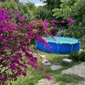 Maison, Piscine, Jardin & Calme