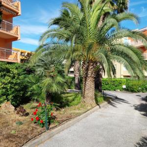 T1 Lavandou La favière en rez de jardin bord de mer