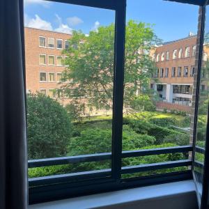 Coeur de Bruxelles, Grand-Place et Mannekenpiss