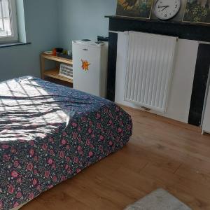 Chambre confortable avec un lit double à schaerbeek cle bleu
