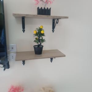 Princess resort flat no217