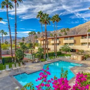 Mountain view Cocoon inspired by Frida Kahlo with Pool, Hot Tub, Tennis, Downtown