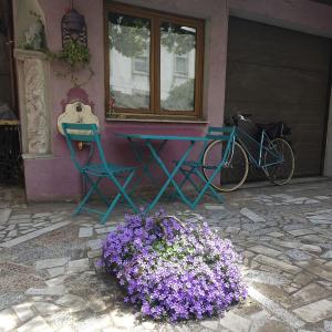 Petit Paradis Croneuva