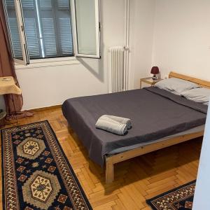 Syntagma plaka apartment 1