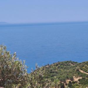 Adriatik Apartments AA