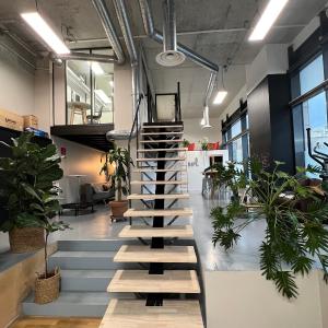Loft New York à Marseille