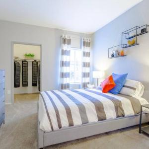 New! Stylish and peaceful Apt in Henderson