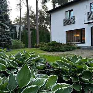 Pirita Beach Villa