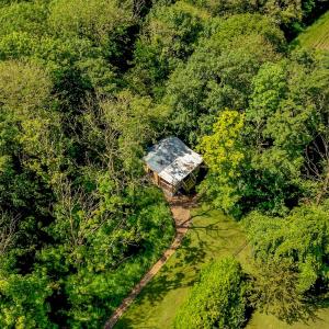 Deer View Cabin - Woodland, beaches and Hot tub